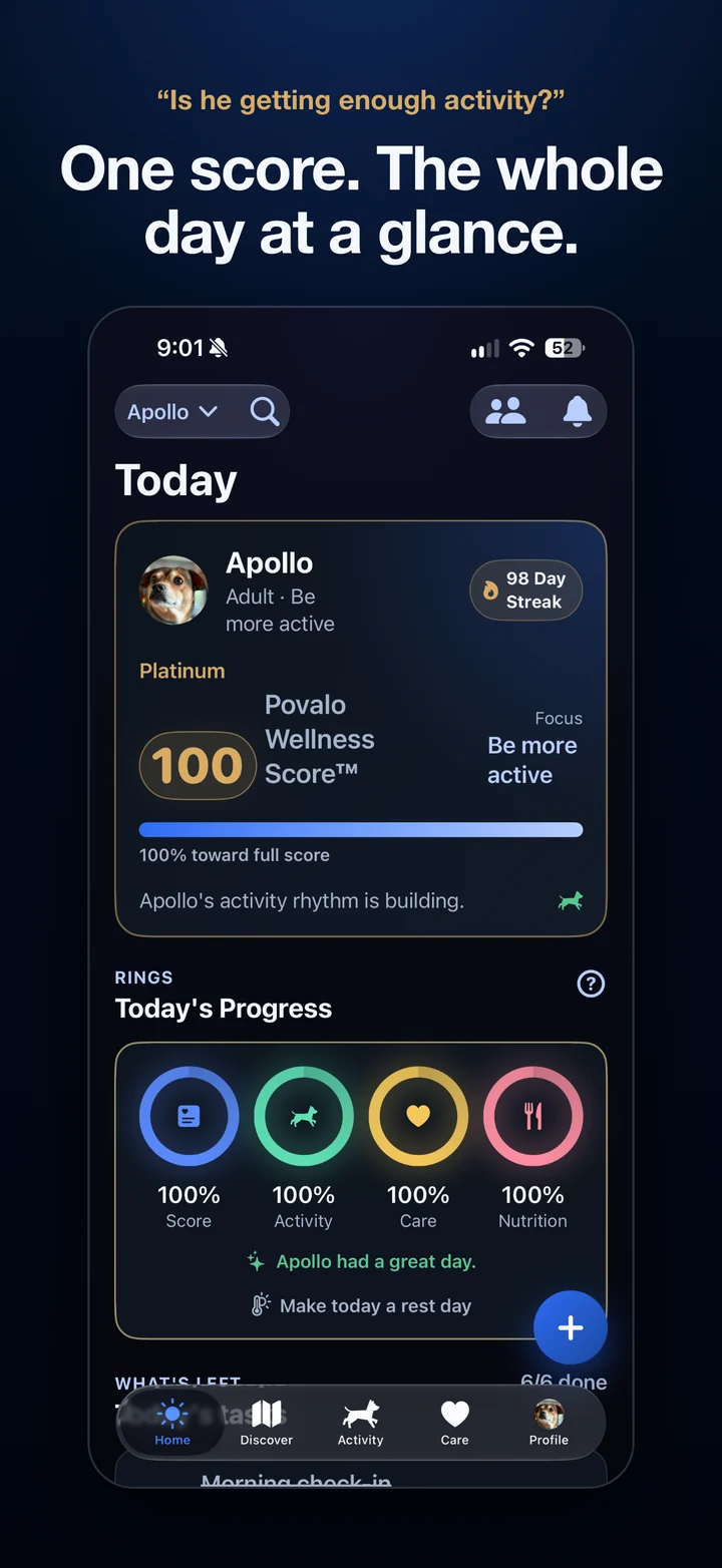 Povalo Today screen with a 100 Wellness Score and four full rings. Headline: Is he getting enough activity? One score, the whole day at a glance.